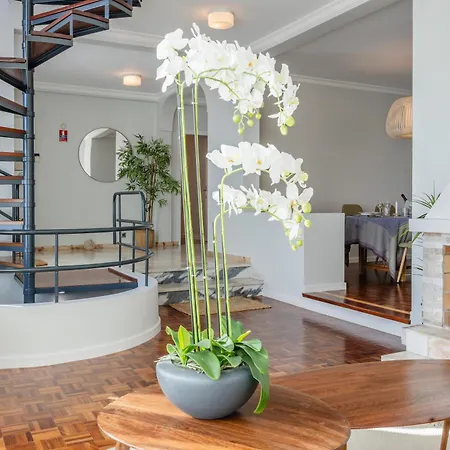 Sunset Willa Caniço